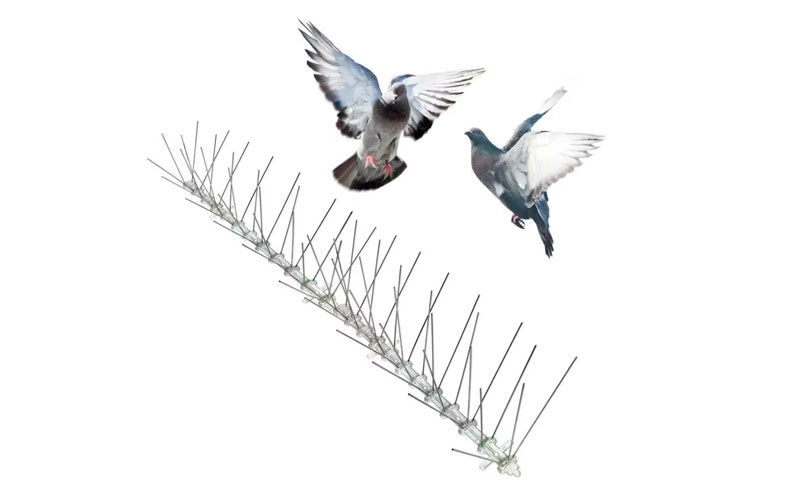 Best Bird Spike Installation Services In Maharashtra
