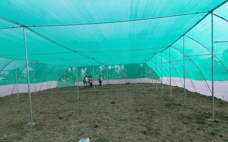 Best Nursery Net Installation Services In Maharashtra